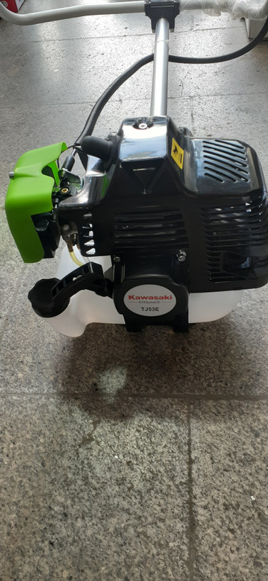 علفزن کاوازاکی